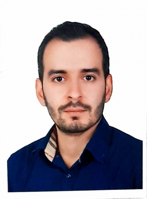آقای سید حامی حجتی
