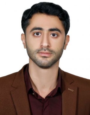 آقای مهدی ذوالفقاری