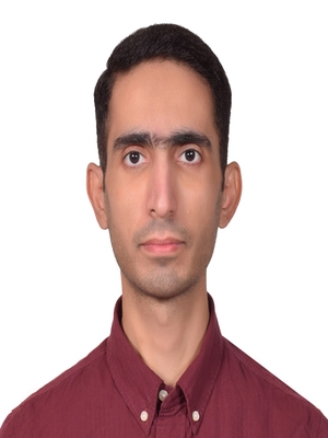 آقای حسین باورساد